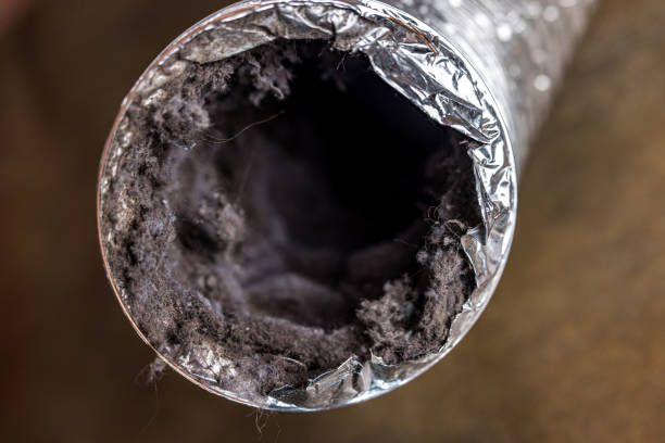 Best Local Air Duct Cleaning Services  in Bainbridge, GA